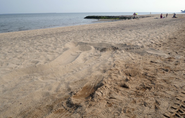 Tire tracks can still be seen from where a vehicle got stuck off of Prospect Ave in West Haven, Conn., on Saturday. A man trying to drown two small children at a Connecticut beach early Saturday morning was thwarted by police officers, according to authorities. 
