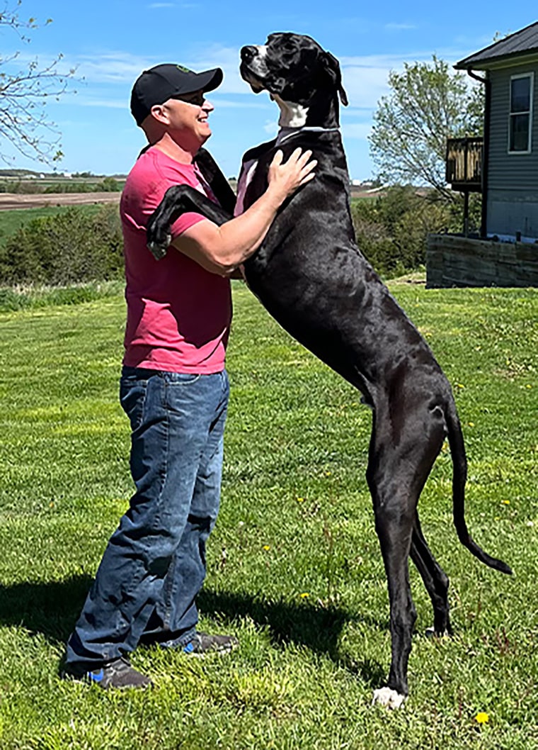 World's tallest male dog, Kevin, dies after setting new world record.