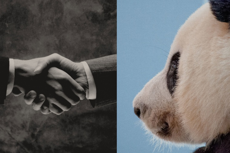 “Panda diplomacy” has been a symbol of U.S.-China amity since 1972.