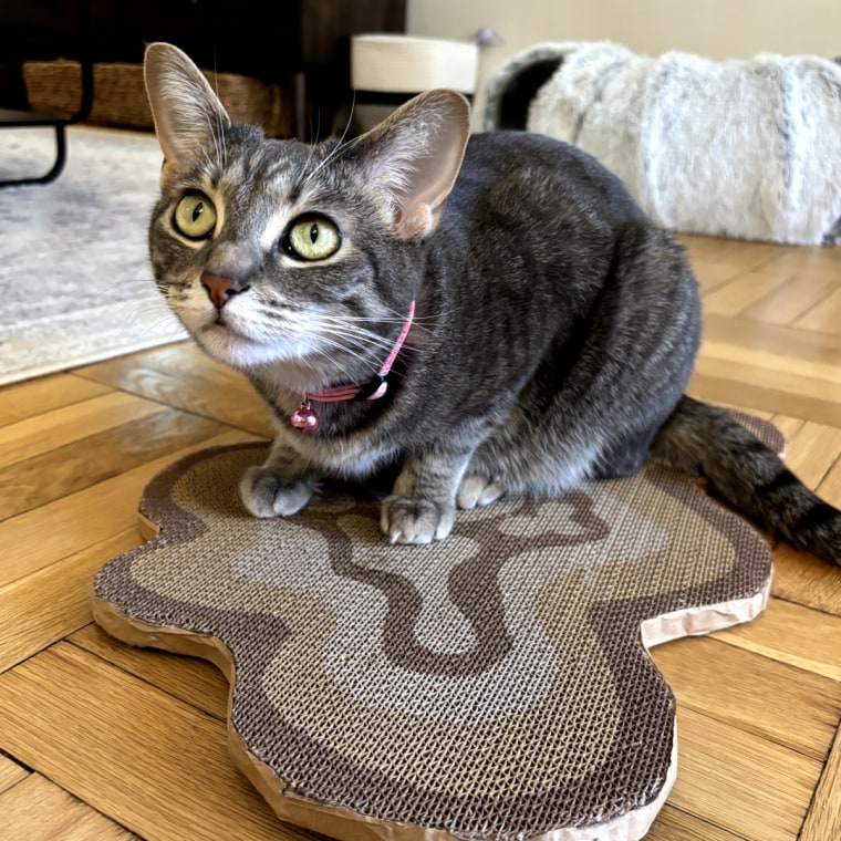To entertain her two cats, Malin has this cat scratcher on display throughout her apartment.