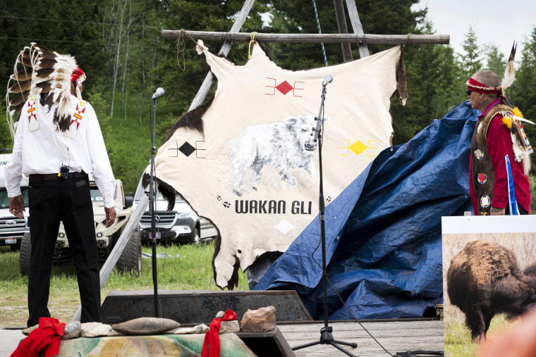 Arvol Looking Horse, a spiritual leader of the Lakota, Dakota and Nakota peoples in South Dakota, left, watches a tarp fall, revealing the name of a recently born white buffalo calf during a naming ceremony for the sacred animal.