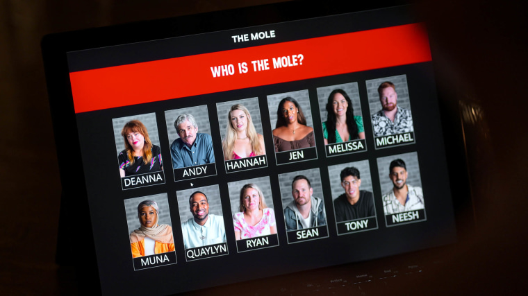 The Mole Season 2