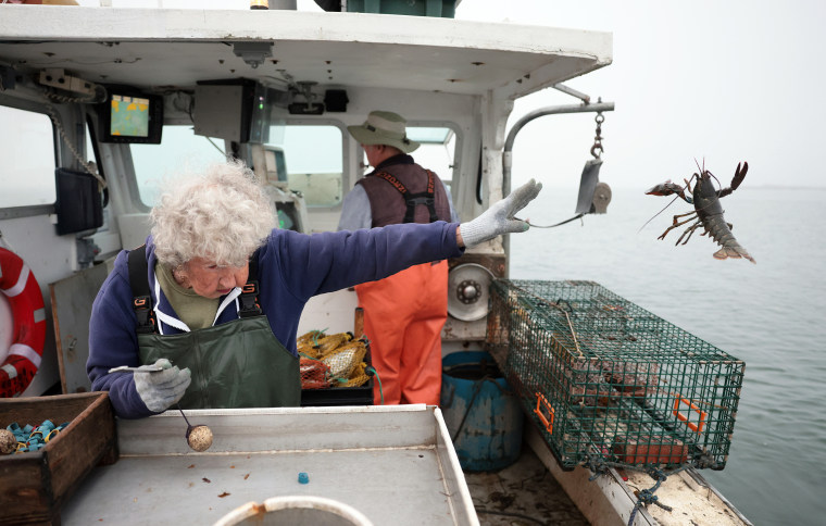 Virginia Oliver tosses back an undersized lobster as she and her son, Max, haul together.