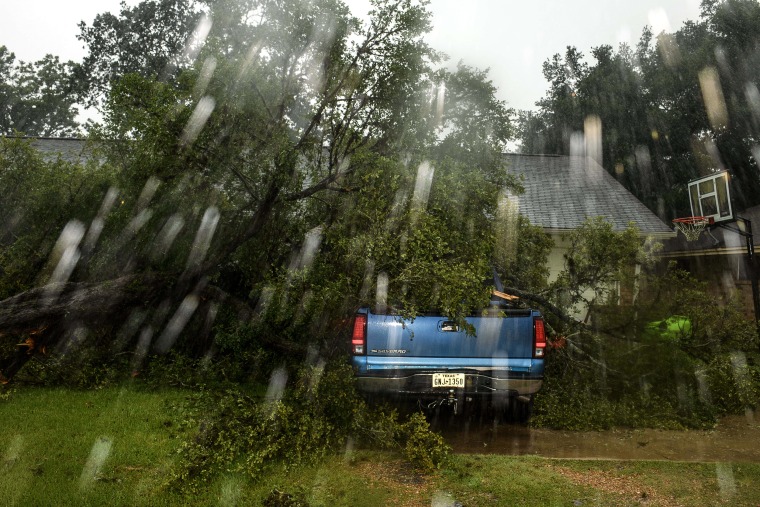 Image: A tree that collapsed on a truck in Rosenberg, Texas