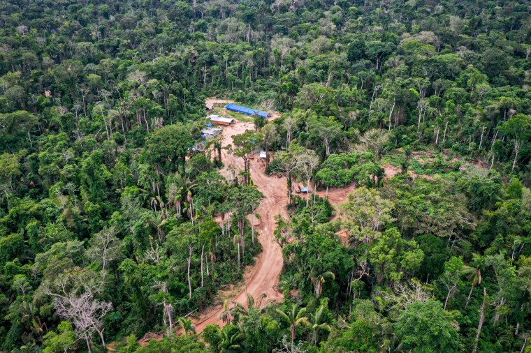 Footage Shows Uncontacted Amazonian Tribe.