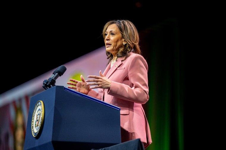 Vice President Kamala Harris Speaks At The Alpha Kappa Alpha Sorority, Inc's 71st Boule In Dallas