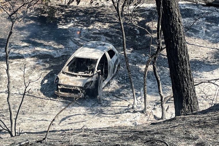 A completely burned car in a park