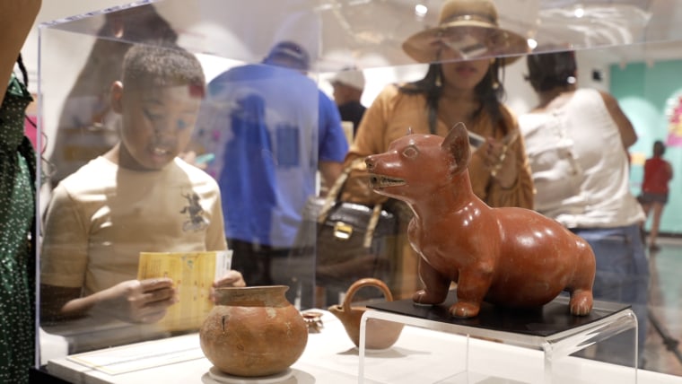 A clay sculpture of a Mexican hairless dog — one of the 250 artifacts in the Parthenon's collection.