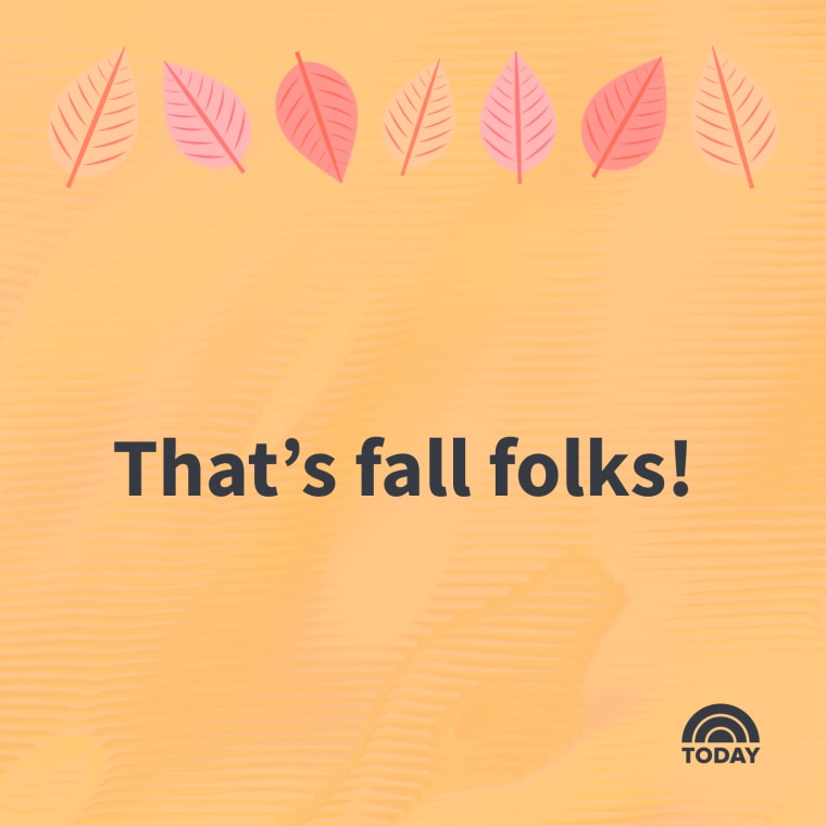 Fall Puns