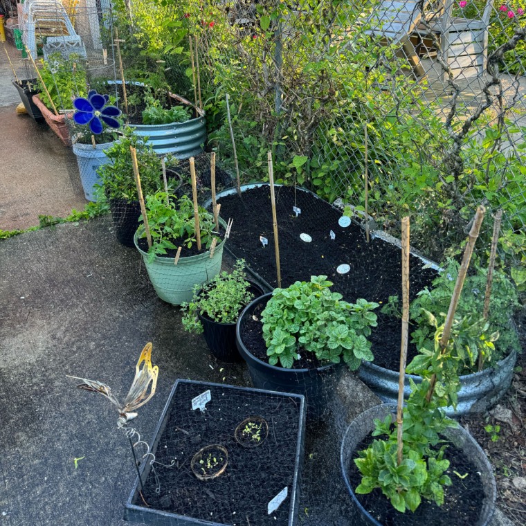 Brown uses multiple raised beds from Land Guard in her backyard garden. 