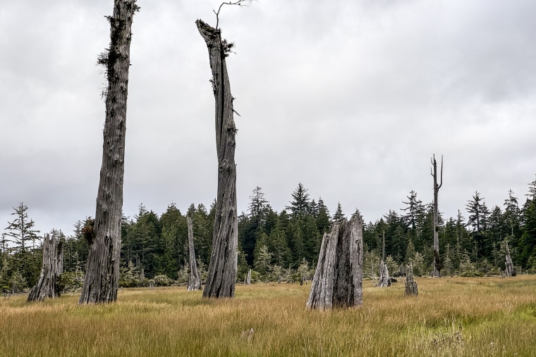 Cascadia