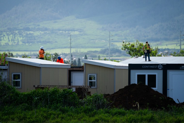 Workers building the development