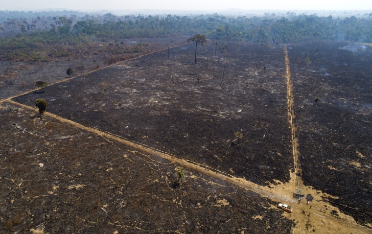 An area that was consumed by a man-made fire to clear land in the Amazon