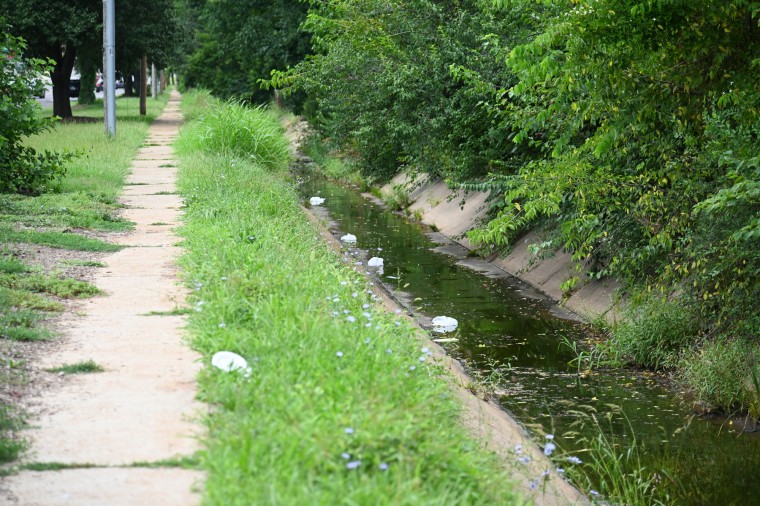 A litter riddled creek outside