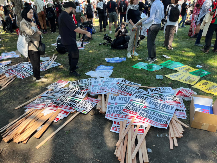 Protest signs on the ground