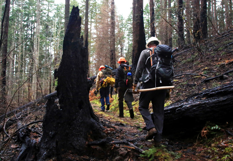 Trail crew workers hiking