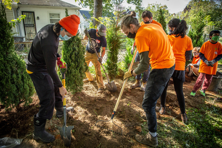 Living in wooded areas may reduce heart disease risk, study finds