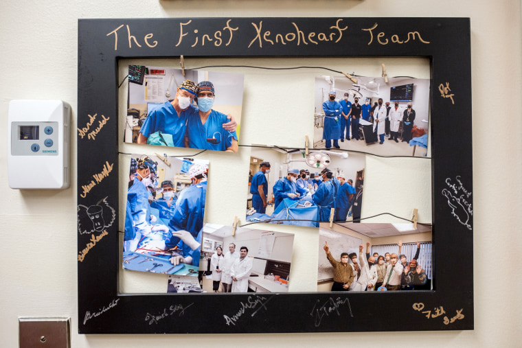 A frame of several photographs of doctors performing surgery.