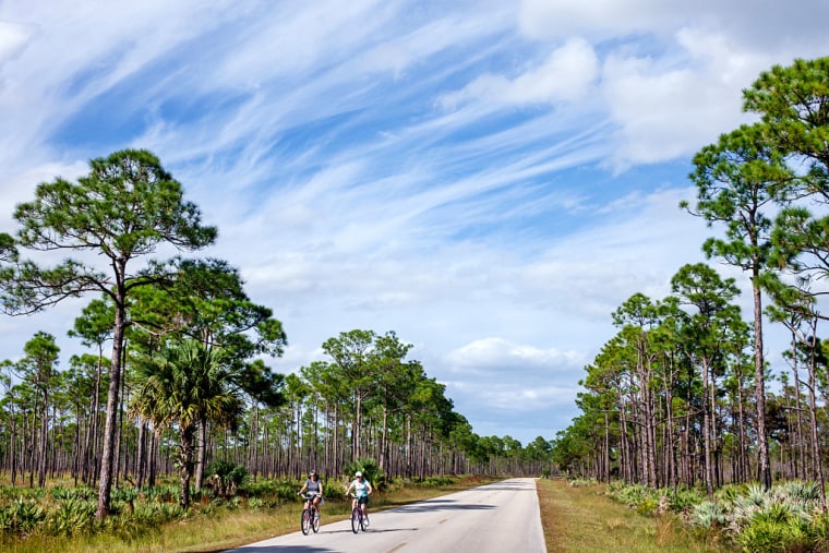 Dos personas montan en bicicleta en Park Drive, en el parque estatal Jonathan Dickinson, en Florida. 