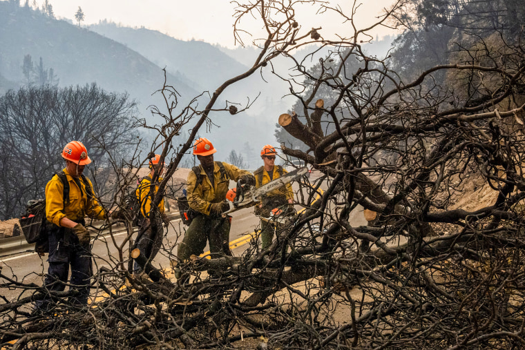 Firefighters clean burned trees and branches.