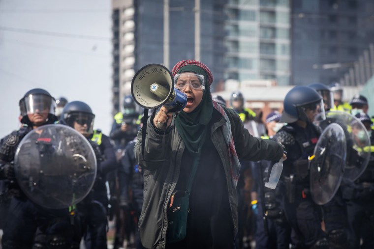 Image: Protesters Descend On Land Forces International Defence Expo