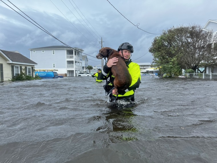 A member of the Wilmington, N.C., fire department rescues a dog from floodwaters on Monday, Sept. 16, 2024.