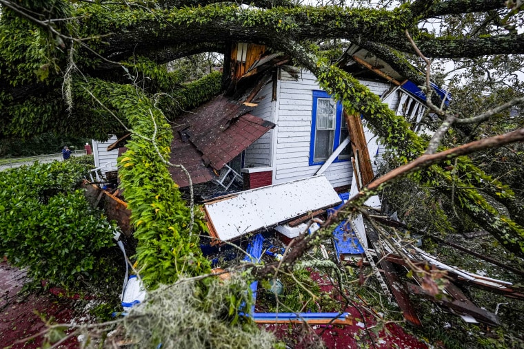 Hurricane Helene leaves Georgia community in ruins as families brace for long power outages