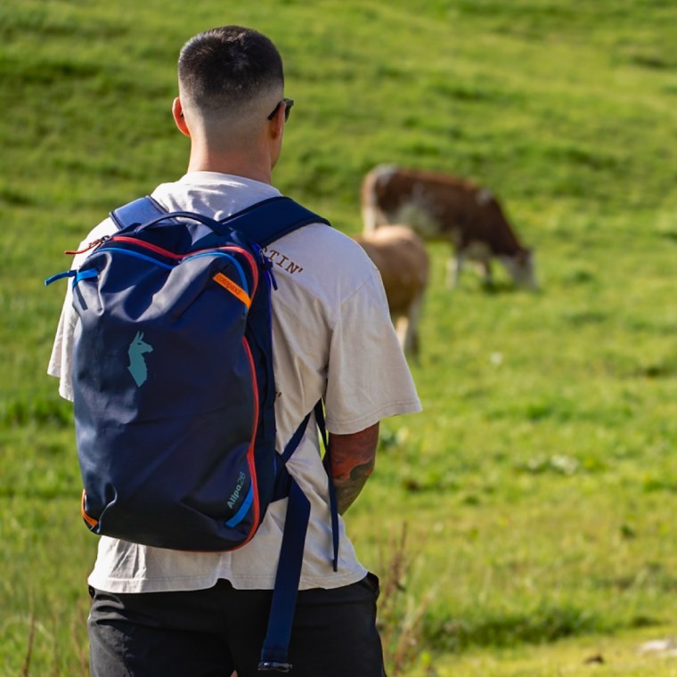 Cotopaxi Allpa 28L Travel Pack