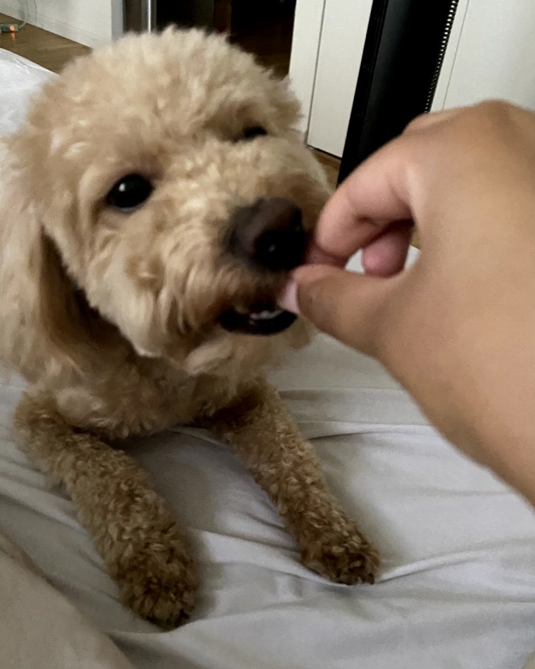 Daruvuri's 2-year-old maltese and poodle mix Bandit loves these soft and chewy treats, which do not upset his sensitive stomach.