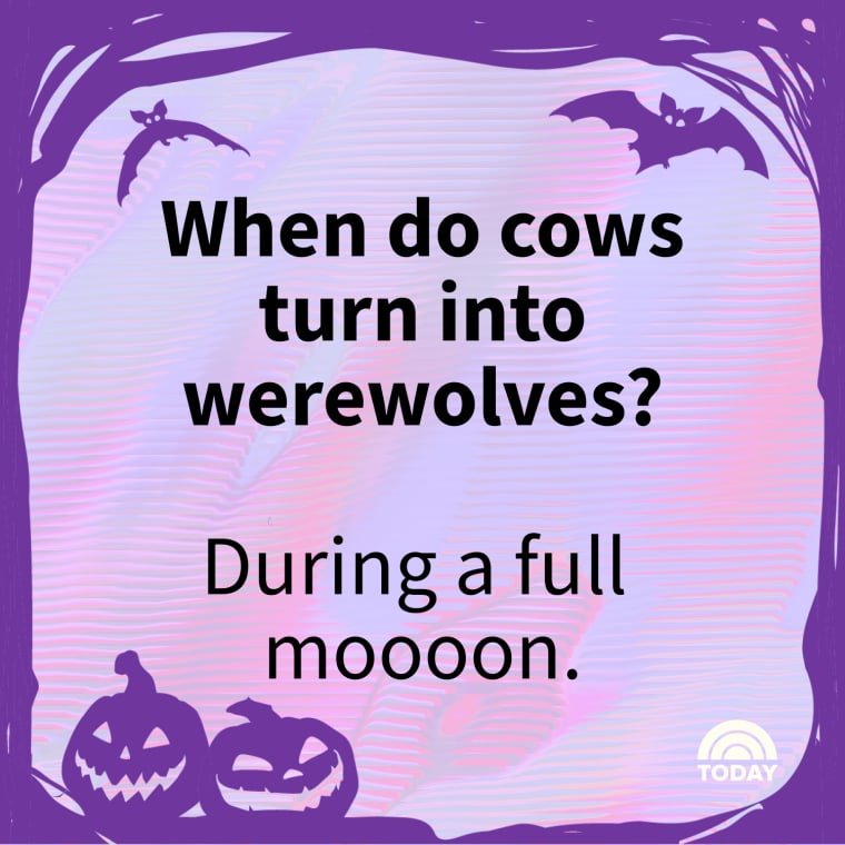 Halloween Jokes