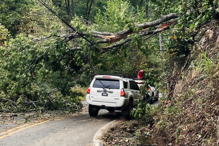 Riverfolk Rescue vehicles drive under a downed tree.