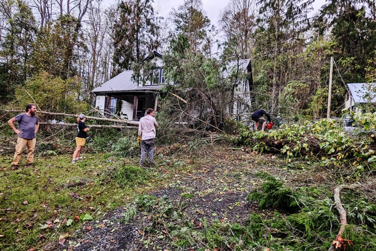 Volunteers with Riverfolk Rescue clear downed trees.