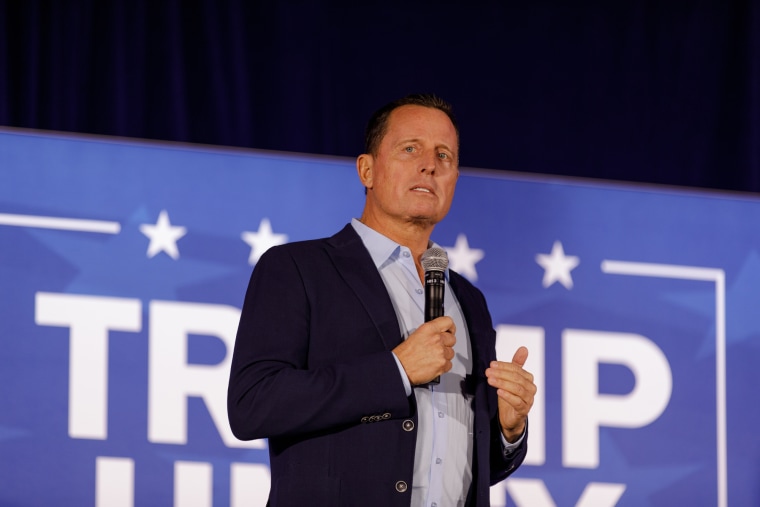 Richard Grenell was the former acting director of national intelligence under Trump.