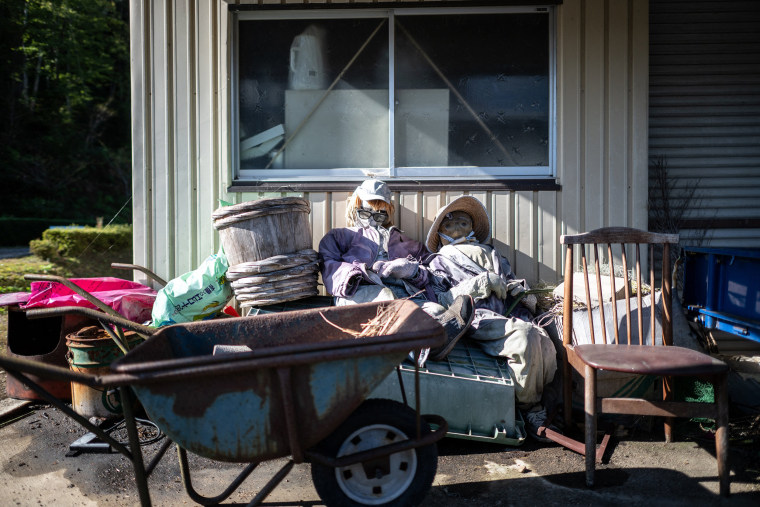 Puppets in the Japanese village of Ichinono on Oct. 21, 2024.