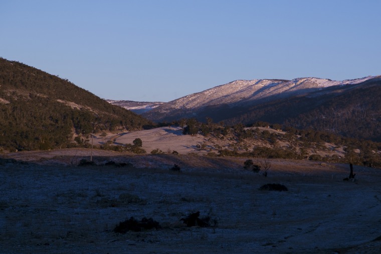 Encuentran con vida a una mujer desaparecida tras una mordedura de serpiente en las Montañas Nevadas de Australia