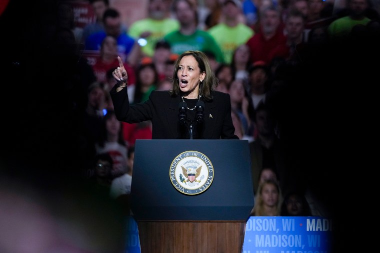 Imagen: Kamala Harris política, campaña electoral de manifestación política