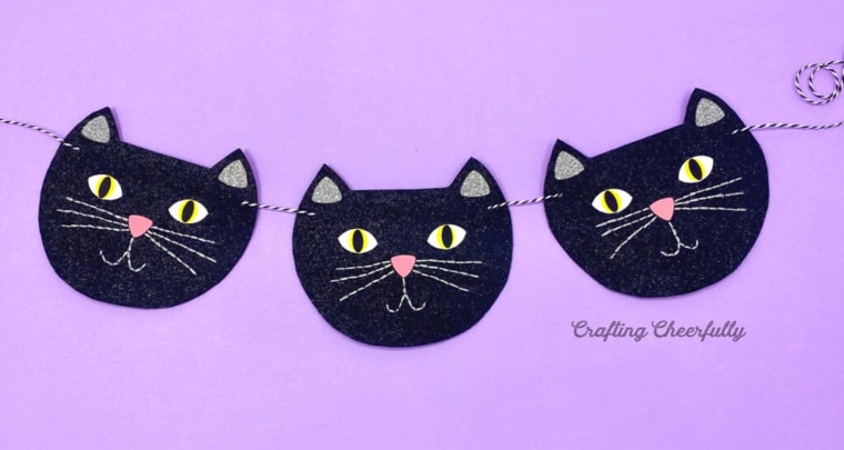 Cat Banner