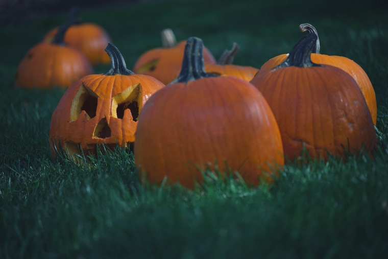 Close-up of pumpkins on field, Chicago Botanic Garden