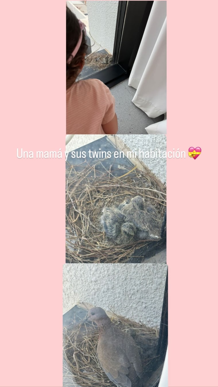Georgina Rodríguez muestra las palomas de su ventana