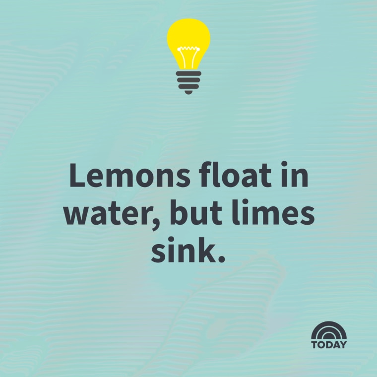 Most intresting facts discount