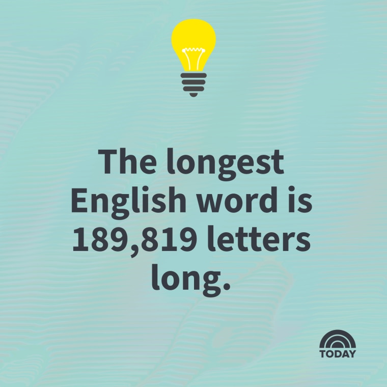 Random intresting facts discount