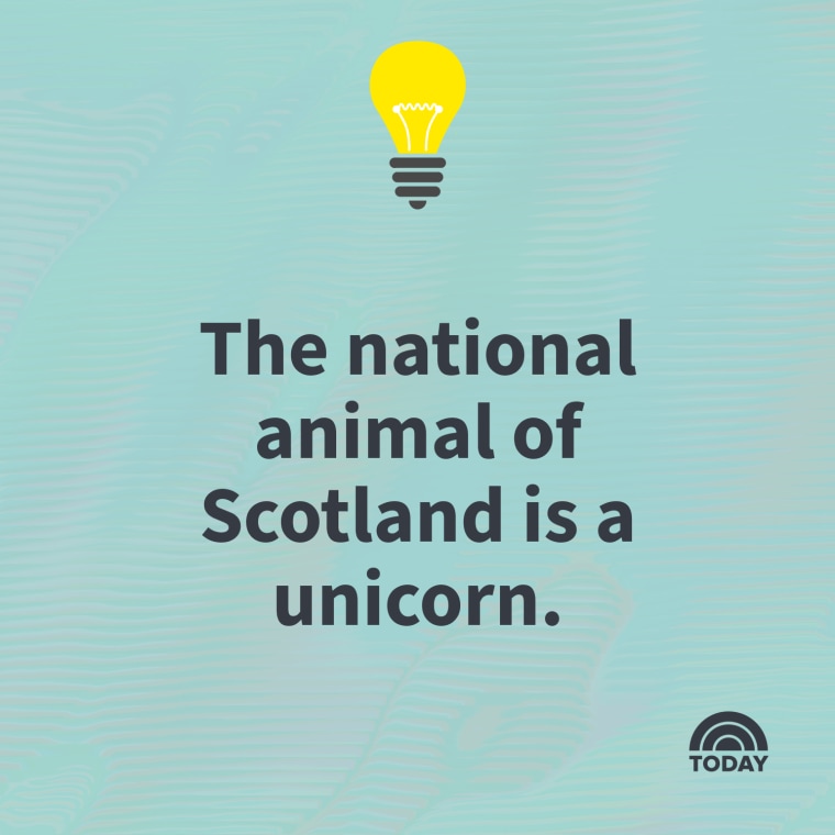 125 Interesting Facts to Entertain Adults and Kids