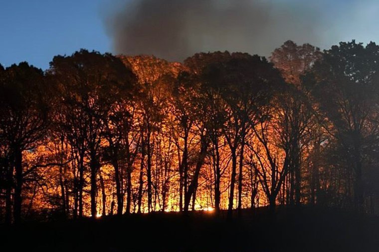 Prospect park in flames.