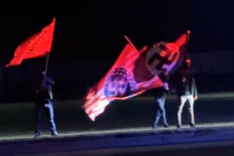 Protesters with Nazi flags