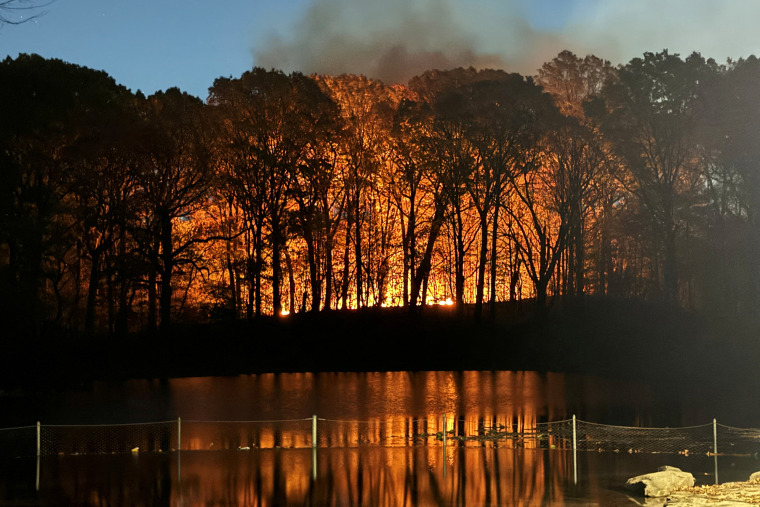 Fire breaks out in Prospect Park, New York