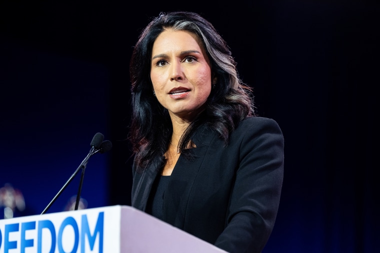 tulsi gabbard politics political politician