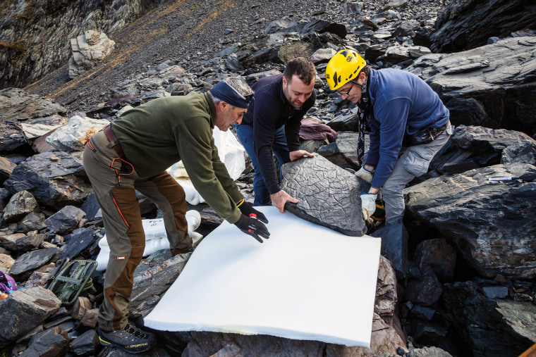 Researchers move a boulder containing fossilized footprints in the Italian Alps. 