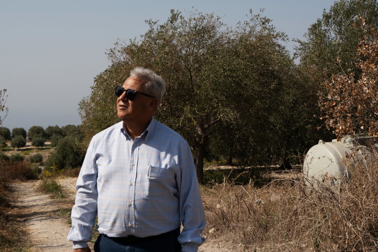 Olivais no Líbano ameaçados por ataques israelenses