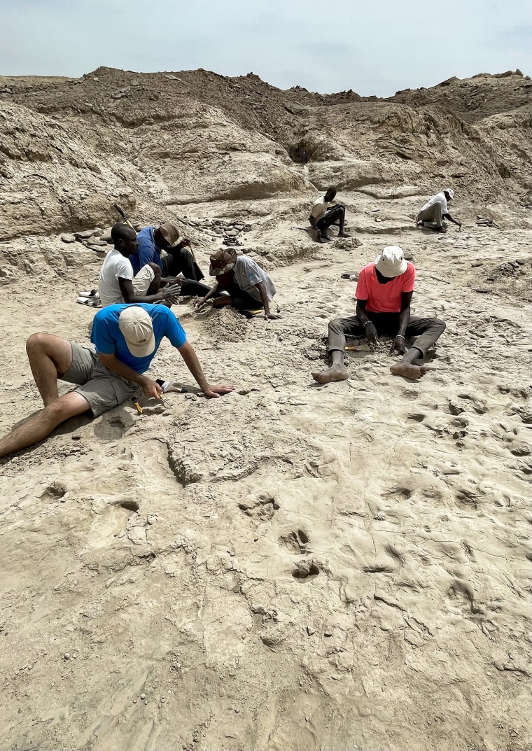 Members of the research team excavating the trackway surface.