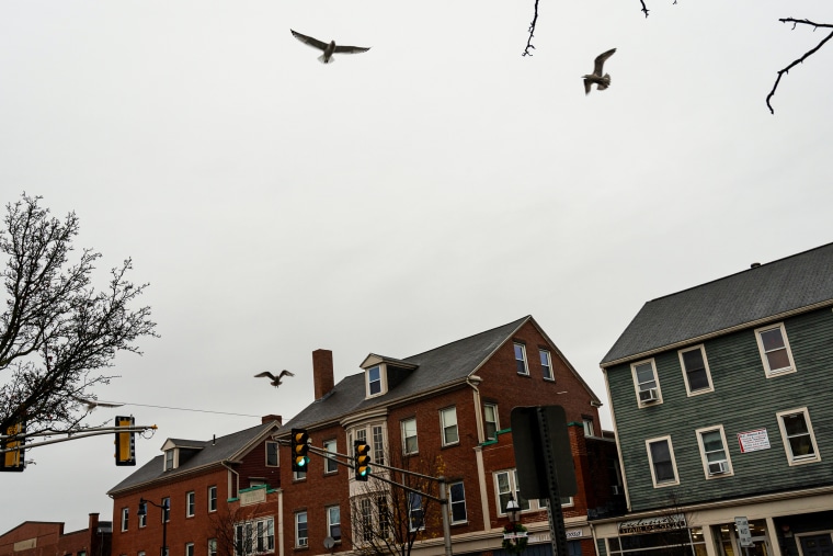 Seagulls fly in front of wedding venue.